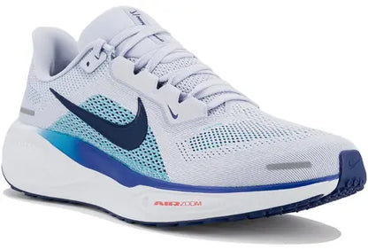 Pegasus 41 Nike