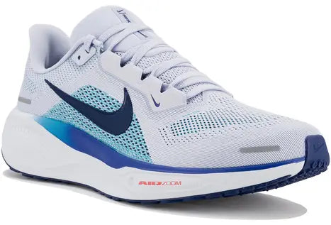Pegasus 41 Nike