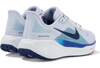 Pegasus 41 Nike