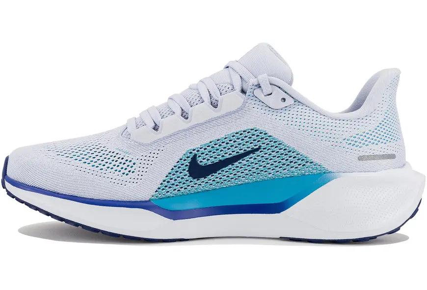 Pegasus 41 Nike